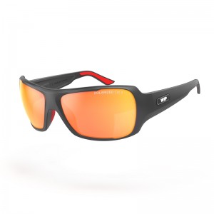 WIPSUN SUNGLASSES