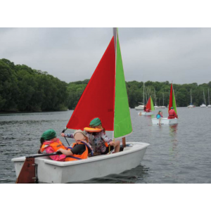 Voile Optimist Papillon