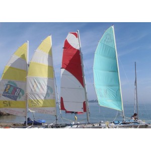 Grand voile compatible New Cat 12