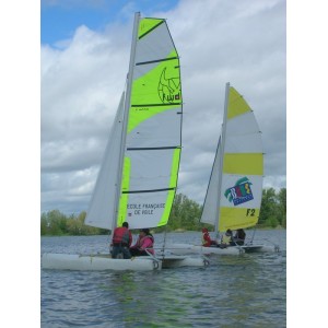 Grand voile compatible New Cat F2