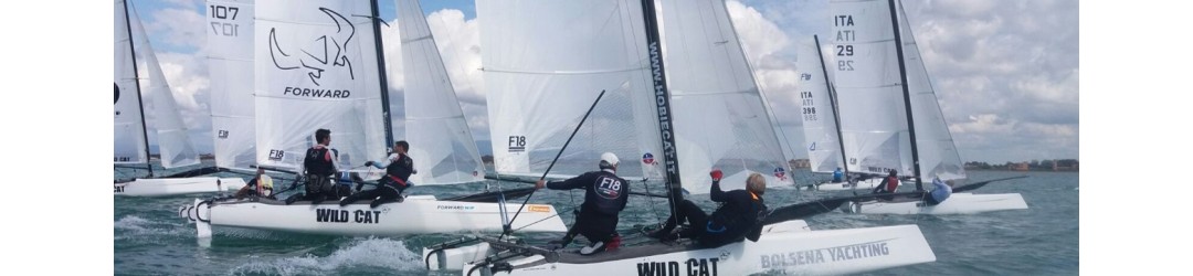 Hobie Wild Cat F18