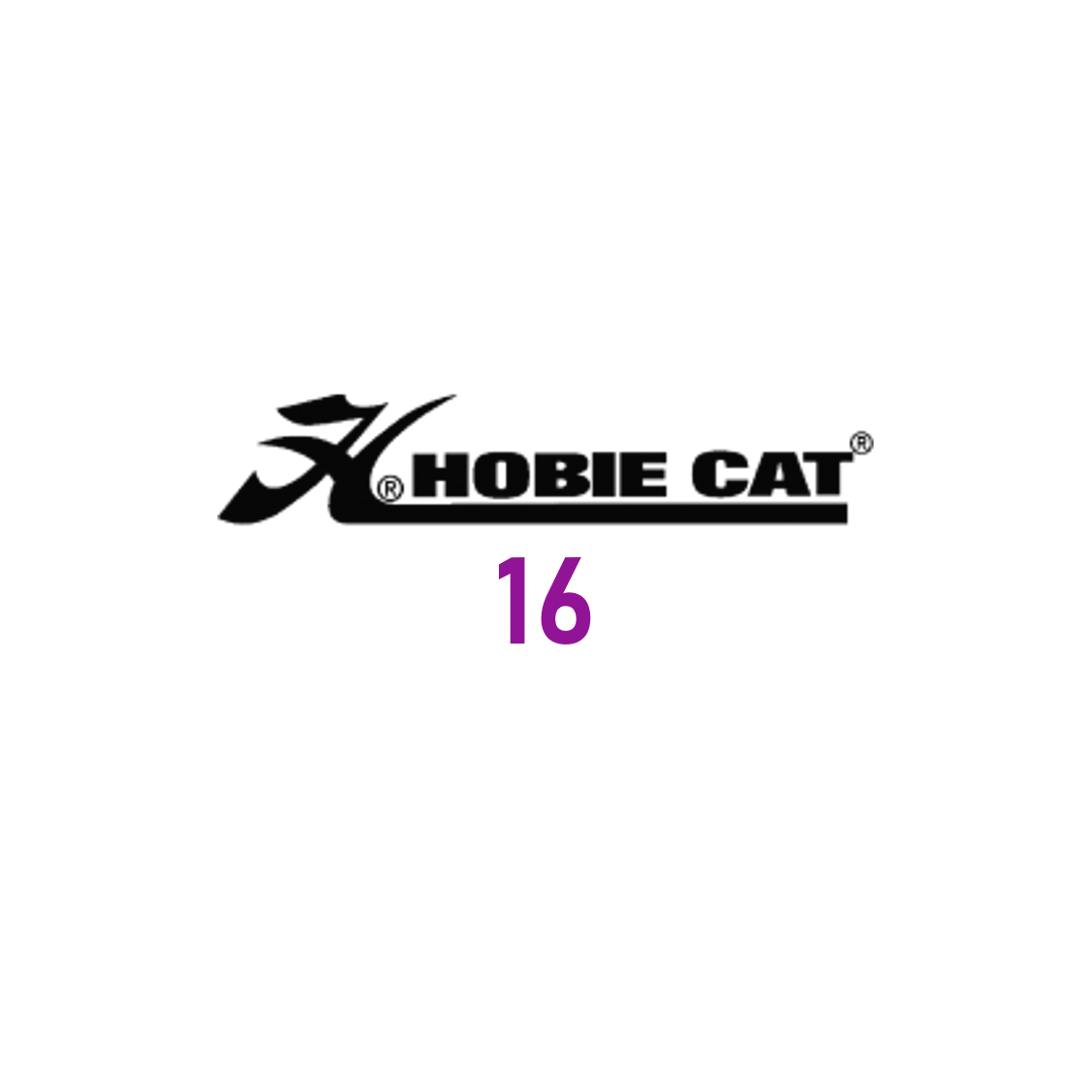 Hobie Cat 16