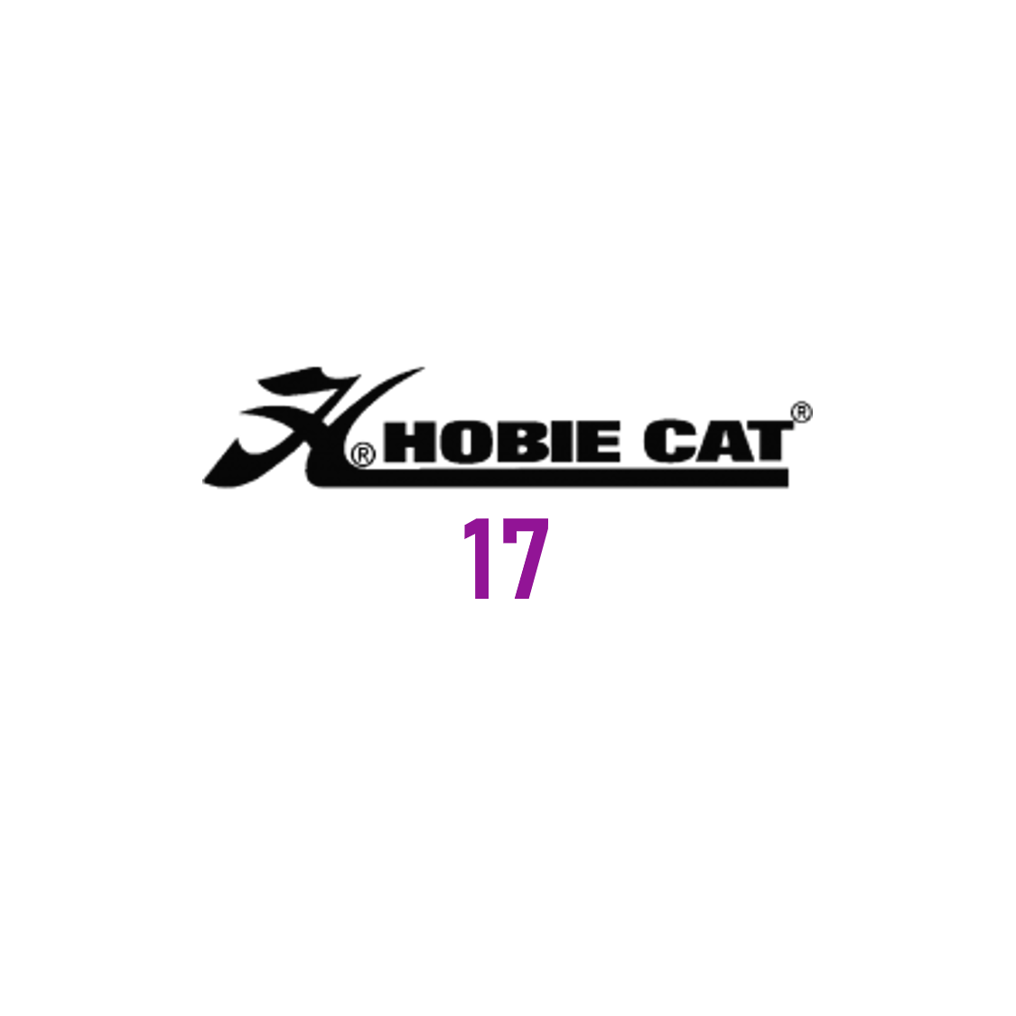 Hobie Cat 17