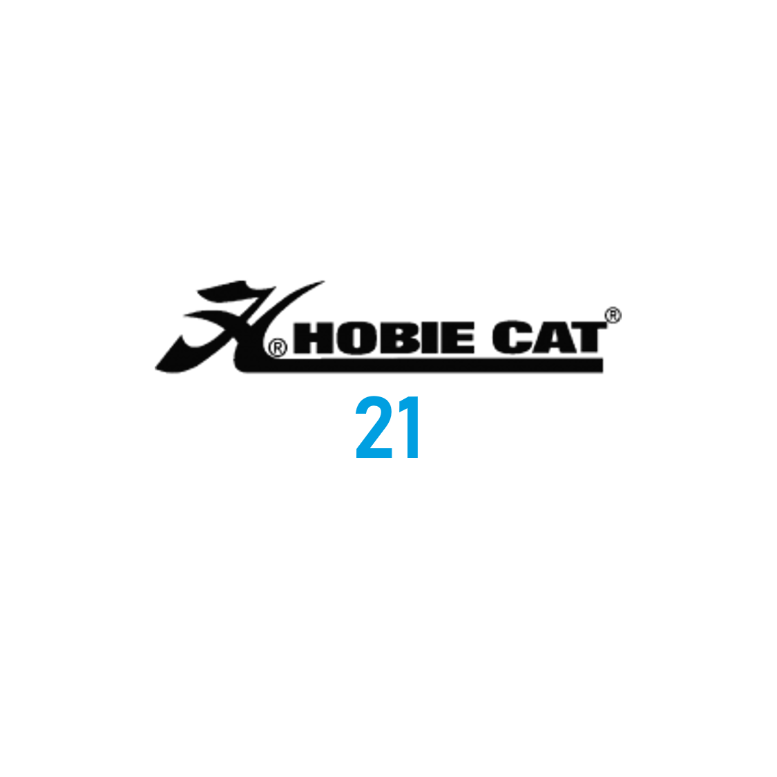 Hobie cat 21